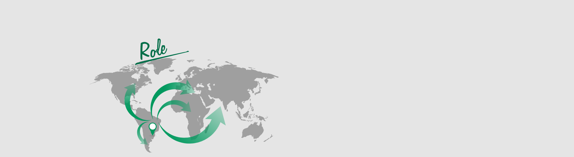 FLEXIBILITY IN THE WORK Worldmap role Celupa