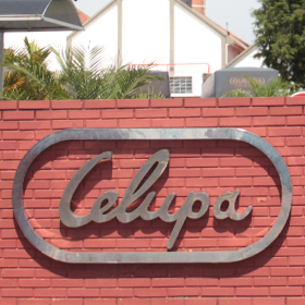 Conheça nossa história Conheça a história da Celupa